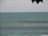 Inches Beach - PATILLAS